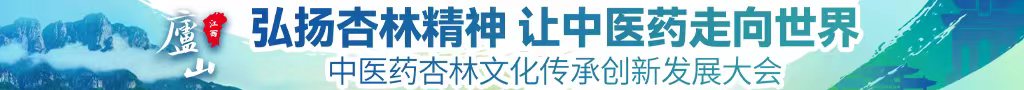 鸡巴草逼视频中医药杏林文化传承创新发展大会